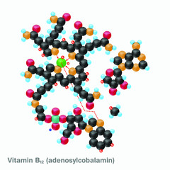 The molecule of vitamin B12 (adenosylcobalamin). Vector illustration in 3d style, isolated on white background.