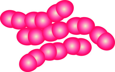 lactococcus icon, vector