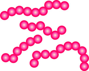 streptococcus icon, vector