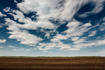 Fototapeta na wymiar clouds over wheat field