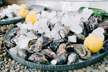 fresh oyster meat in a plate with ice and lemon slices at a street market