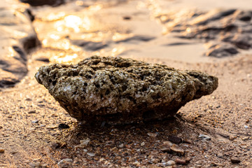 Stone image on the beach and sunset light background image