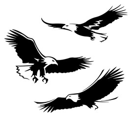 Bald eagle icon set