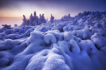 Obraz premium Winter in Jeseniky Mountains in Czech Republic. A huge amounts of snow in photography.
