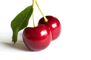 Shinny Red Cherry Fruit
