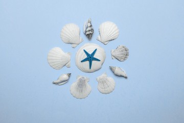 Sea Shells, starfish in shape frame. trendy aquamarine light blue pastel color Hello summer background concept. Top view with copy space