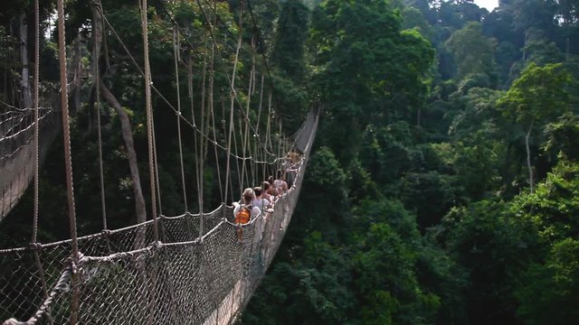 Tourists on Ghana rope bridge, lockdown