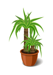 Yucca tropical plant in brown pot. Element of home or office decor. Vector illustration isolated on white background