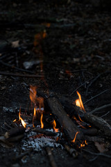 Woodland Bonfire