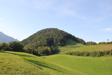 green hill with trees