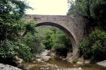 Fototapeta na wymiar Stone bridge in the province of La Garrotxa in Catalonia