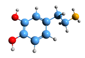 3D image of dopamine skeletal formula - molecular chemical structure of Oxytyramine isolated on white background