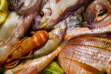 pesce fresco
