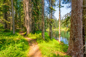 Majestic mountain lake in Canada. Lightning Lake in Manning Park in British Columbia. Lake Trail View.