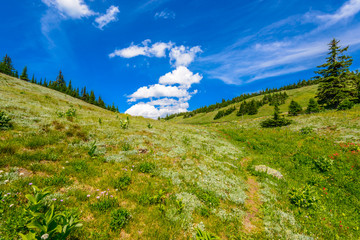 Beautiful landscape of valley in Alpine mountains, small trail, hike root, majestic picturesque view in sunny day