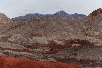 Desert Landscape of Nevada