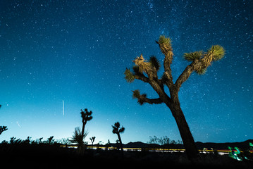 Obraz na płótnie Canvas Stars in the sky at night over Joshua Tree in Mojave Desert, California