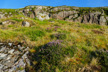 Felsen bei Oldshoremore, an der Nordwestküste von Schottland
