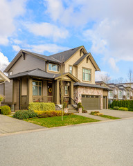 A perfect neighborhood. Houses in suburb at Spring in the north America.