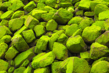 green stones with algae