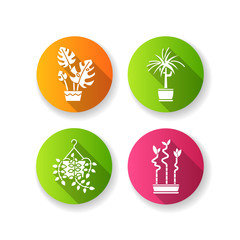 Domesticated plants flat design long shadow glyph icons set. Houseplants. Ornamental plants. Natural home, office decor. Pothos, dracaena. Monstera, lucky bamboo. Silhouette RGB color illustration