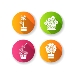Decorative indoor plants flat design long shadow glyph icons set. Houseplants. Domesticated plants. Orchid, yucca. Miniature citrus tree, African violet. Silhouette RGB color illustration
