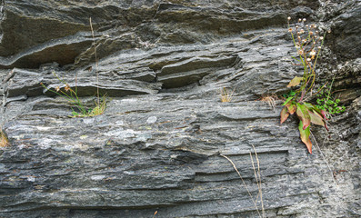 Large granite gray rock.