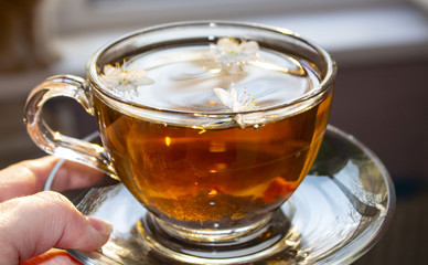 Tea green tea. Herbal tea. Mint leaf. Tea with apple flavor. Tea in a glass cup with apple blossoms and leaves dried tea sliced ​​lime. herbs tea and mint leaves on a slate plate in a restaurant or te