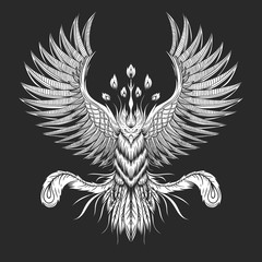 Phoenix Bird vector illustration