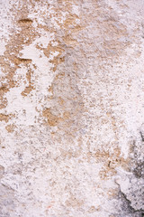 Old white and yellow plaster shell rock wall texture background. Top view