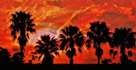 Fototapeta na wymiar Landscape with palm trees and evening sky at sunset