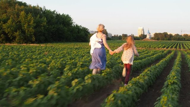 mother and daughter run across the field at sunset, holding hands. Rear view. Slow motion