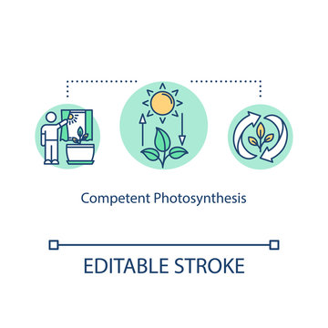 Competent photosynthesis concept icon. Light exposure. Plant lighting need. Houseplant care. Sufficient sunlight idea thin line illustration. Vector isolated outline RGB color drawing. Editable stroke