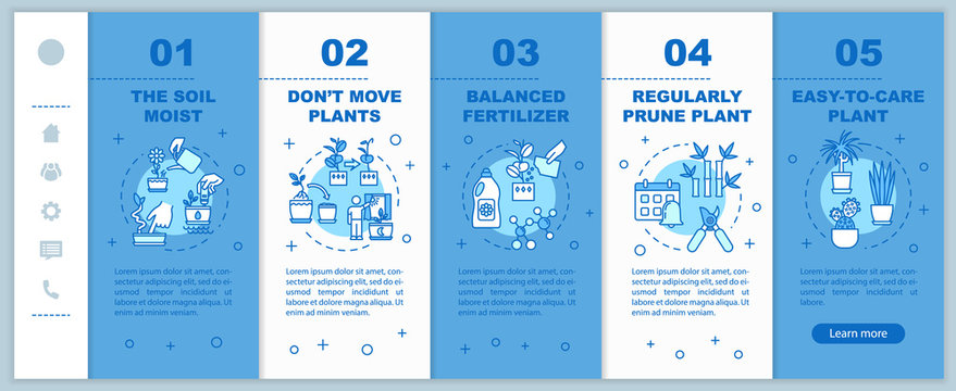 Indoor plants care onboarding vector template. Unpretentious flowers. Home gardening tips. Responsive mobile website with icons. Webpage walkthrough step screens. RGB color concept - Powered by Adobe