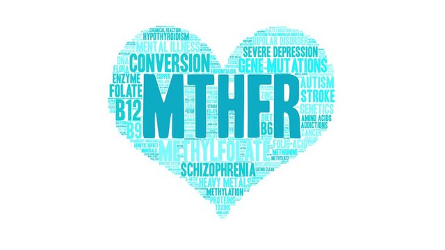 MTHFR animated word cloud on a white background. 