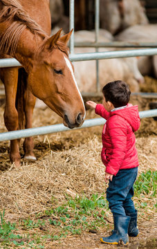 Enfant caressant un cheval à Foissiat, France