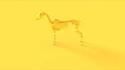 Yellow Horse Skeletal System Anatomical 3d illustration 3d render