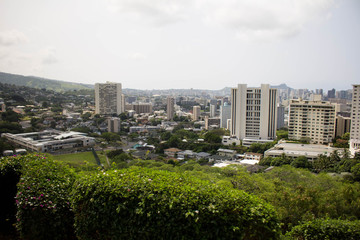 Obraz premium Downtown views of the city