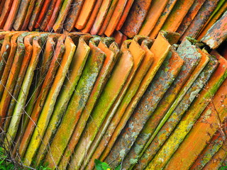 Tejas de barro con musgo