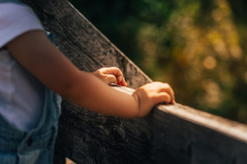 Hands of a little child standing on a wooden bridge on a sunny summer day.