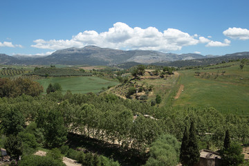 Typical Andalusian landscape near Ronda town in May