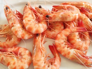 shrimps on a plate. Typical Spanish tapa