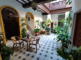 Indoor garden in a typical Andalusian house with patio andaluz, Jerez,Spain