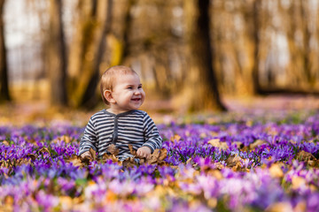 Little boy in spring park with purple saffron flowers