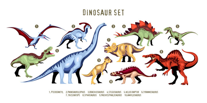Dinosaur Color Set