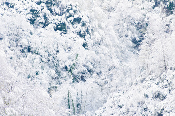 Winter landscape in apuan alps near seravezza, the souther part of the famous mountain range where michelangelo extracted the marble for his masterpieces.