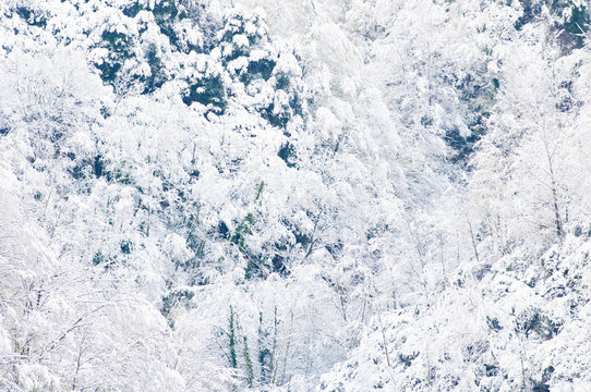 Winter landscape in apuan alps near seravezza, the souther part of the famous mountain range where michelangelo extracted the marble for his masterpieces.