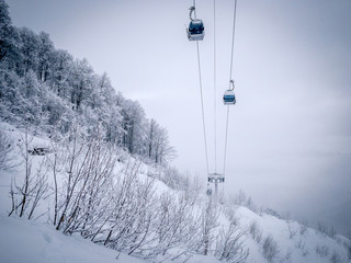 Obraz premium Winter Mountain landscape at the Rosa Khutor ski resort in Sochi, Russia. Cable car cabin over pine trees in the snow