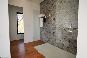 Bathroom in elegant modern house