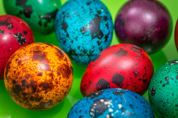 painted eggs of different colors on a green background, Easter decoration